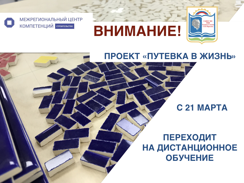 Путевка в жизнь проект